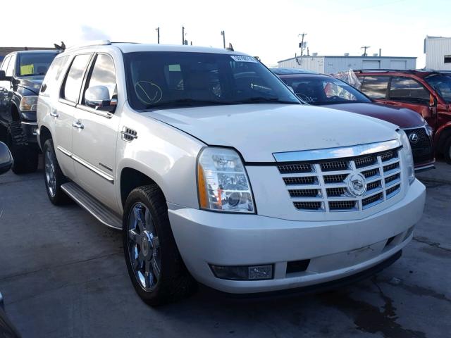 1GYUCBEF3AR146580 - 2010 CADILLAC ESCALADE L TAN photo 1