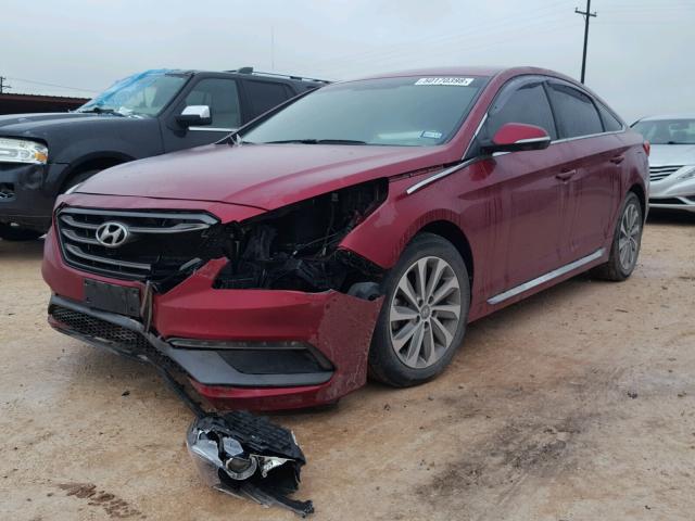 5NPE34AF7GH318749 - 2016 HYUNDAI SONATA SPO RED photo 2