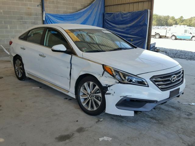 5NPE34AF6GH283668 - 2016 HYUNDAI SONATA SPO WHITE photo 1