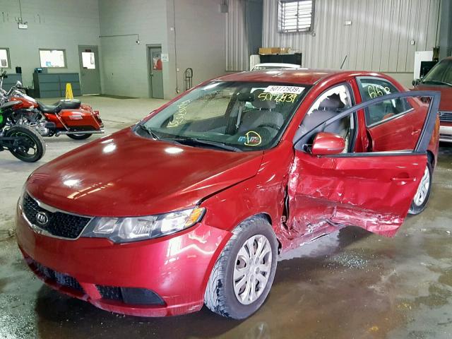 KNAFU4A25C5505476 - 2012 KIA FORTE EX RED photo 2