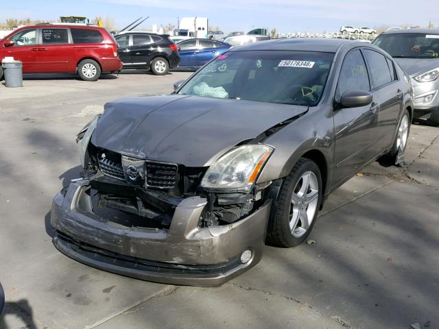 1N4BA41E74C825843 - 2004 NISSAN MAXIMA SE GOLD photo 2