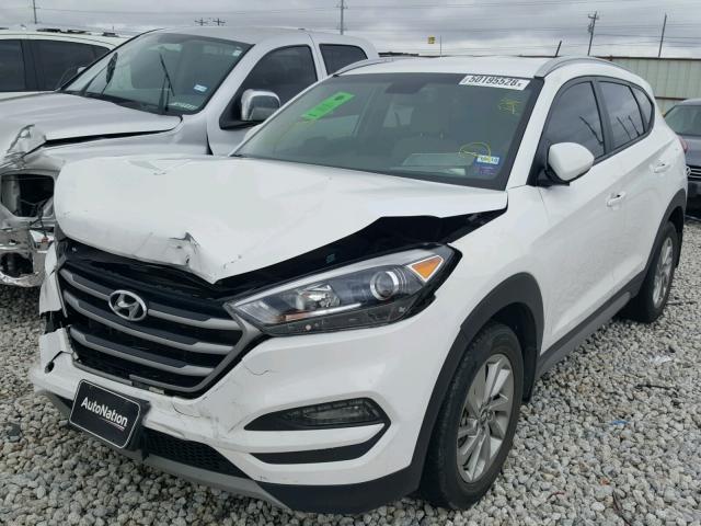 KM8J33A26HU302521 - 2017 HYUNDAI TUCSON LIM WHITE photo 2