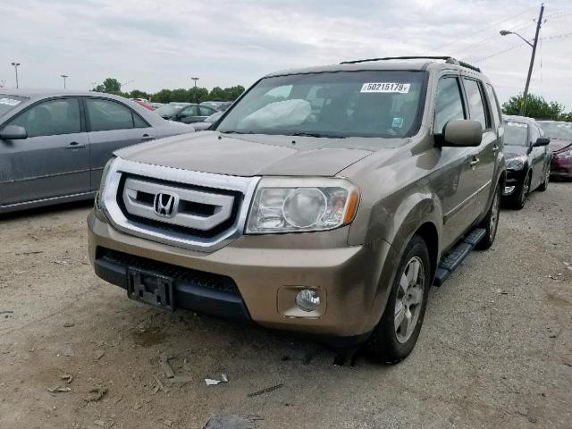 5FNYF4H77BB020275 - 2011 HONDA PILOT EXLN GOLD photo 2