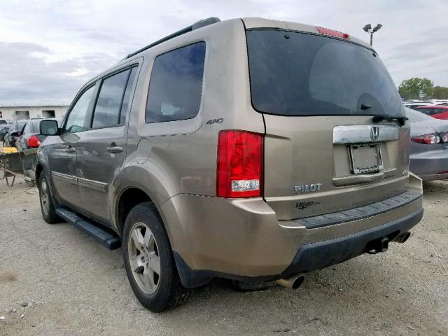 5FNYF4H77BB020275 - 2011 HONDA PILOT EXLN GOLD photo 3