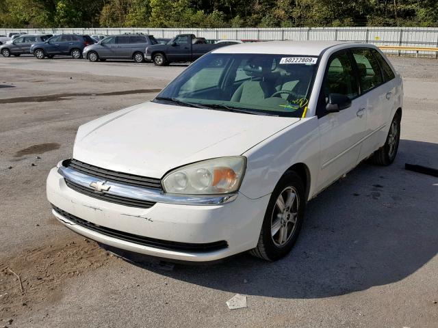 1G1ZT64894F175294 - 2004 CHEVROLET MALIBU MAX 白色 照片 2