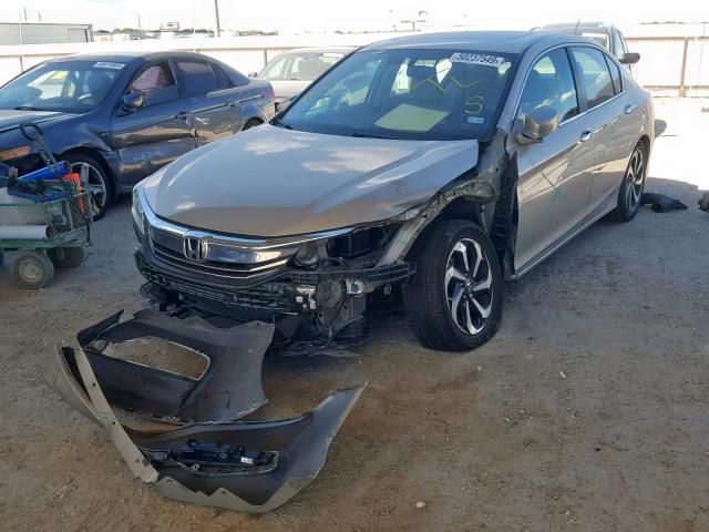 1HGCR2F88GA144669 - 2016 HONDA ACCORD EXL GOLD photo 2