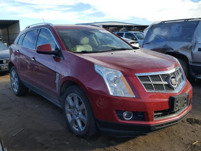 3GYFNEEY6AS638166 - 2010 CADILLAC SRX PERFOR RED photo 1