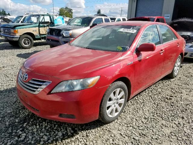 4T1BB46K79U088596 - 2009 TOYOTA CAMRY HYBR RED photo 2