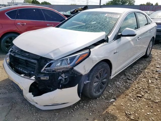 KMHE24L16GA011547 - 2016 HYUNDAI SONATA HYB WHITE photo 2