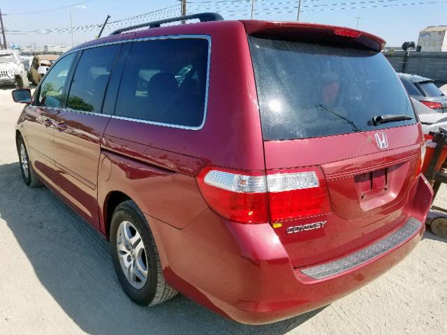 5FNRL38676B059324 - 2006 HONDA ODYSSEY EX BURGUNDY photo 3