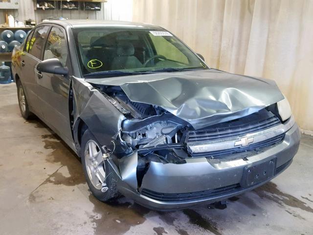 1G1ZT54825F336595 - 2005 CHEVROLET MALIBU LS GRAY photo 1