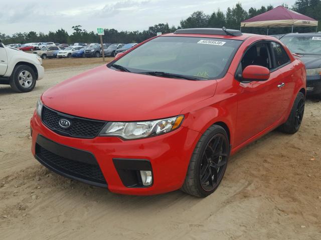 KNAFW6A38C5474805 - 2012 KIA FORTE SX RED photo 2