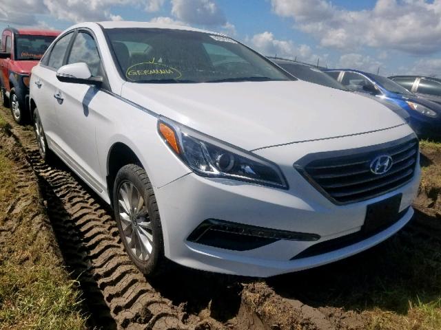 5NPE34AF3FH182599 - 2015 HYUNDAI SONATA SPO WHITE photo 1