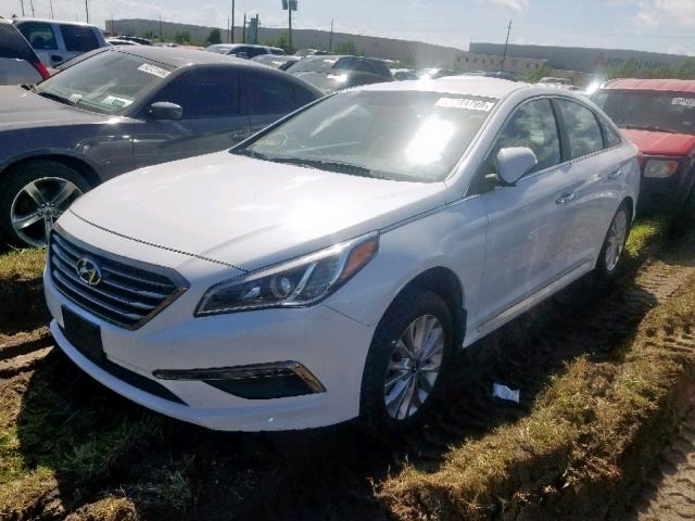 5NPE34AF3FH182599 - 2015 HYUNDAI SONATA SPO WHITE photo 2