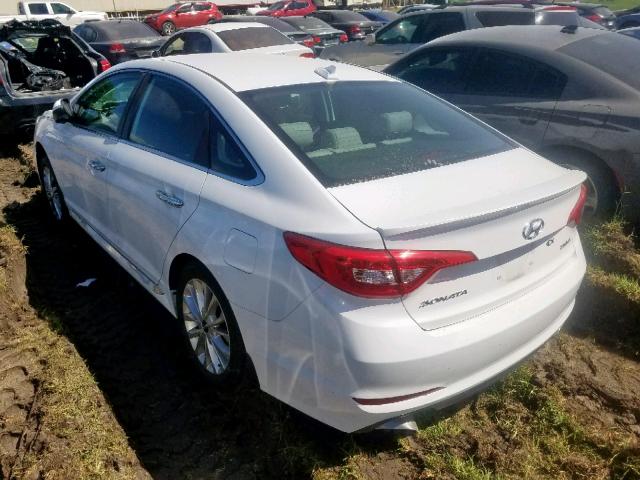 5NPE34AF3FH182599 - 2015 HYUNDAI SONATA SPO WHITE photo 3