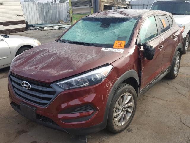 KM8J23A4XGU103989 - 2016 HYUNDAI TUCSON SE BURGUNDY photo 2