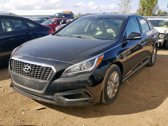 KMHE24L12GA025929 - 2016 HYUNDAI SONATA HYB BLACK photo 2