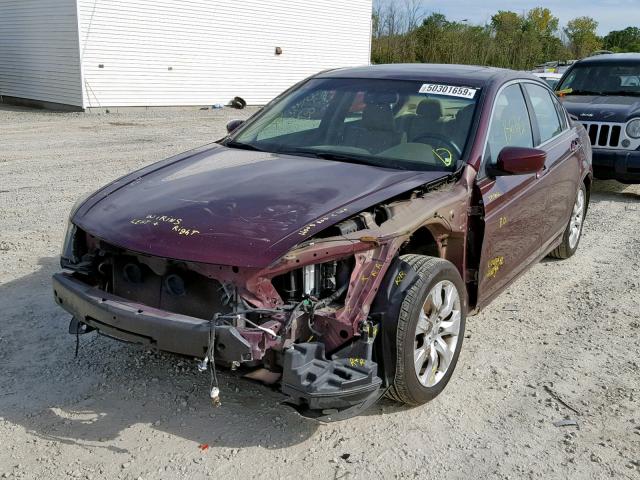 1HGCP2F83AA044864 - 2010 HONDA ACCORD EXL MAROON photo 2