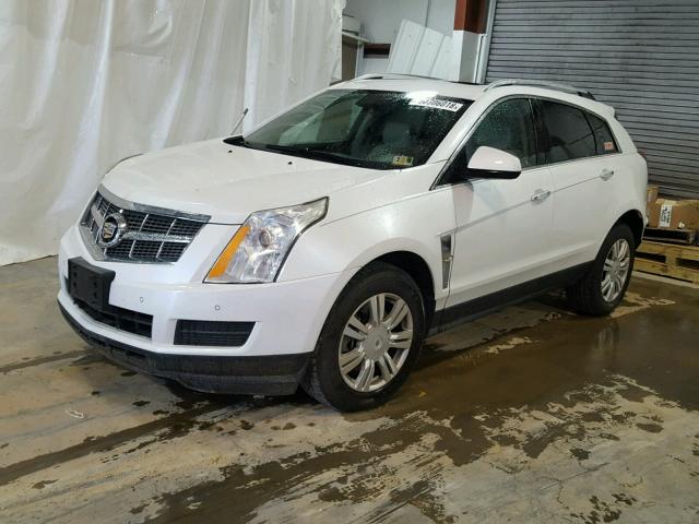 3GYFNDEY6AS578853 - 2010 CADILLAC SRX LUXURY WHITE photo 2