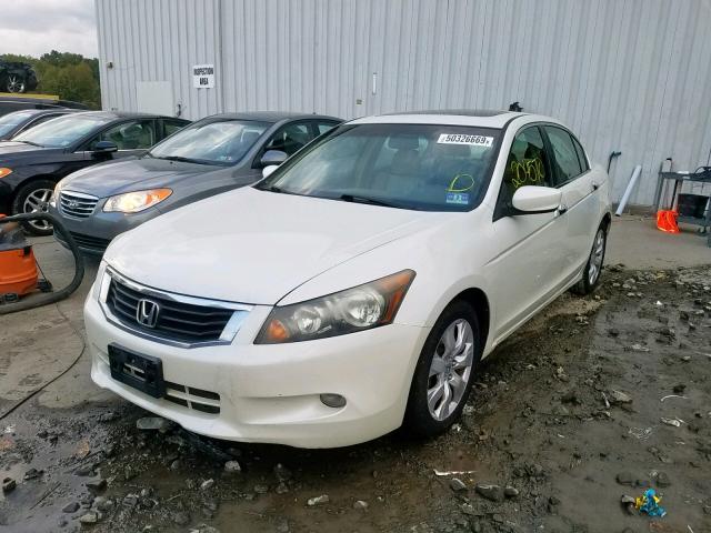 1HGCP36838A059980 - 2008 HONDA ACCORD EXL WHITE photo 2