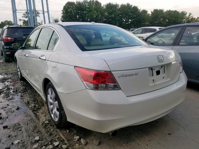 1HGCP36838A059980 - 2008 HONDA ACCORD EXL WHITE photo 3