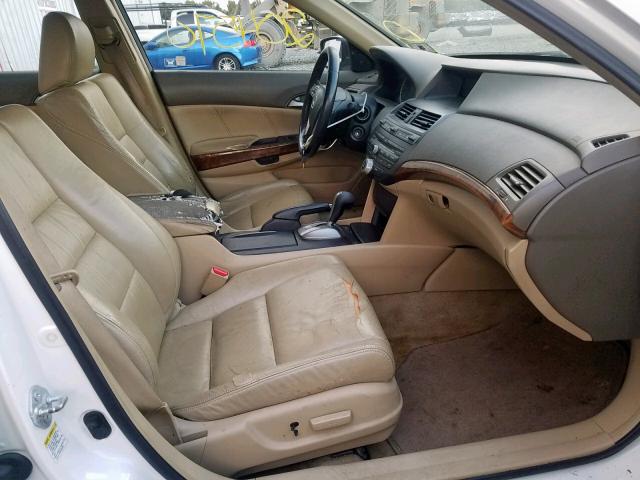 1HGCP36838A059980 - 2008 HONDA ACCORD EXL WHITE photo 5