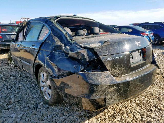 1HGCP36888A029325 - 2008 HONDA ACCORD EXL BLACK photo 3