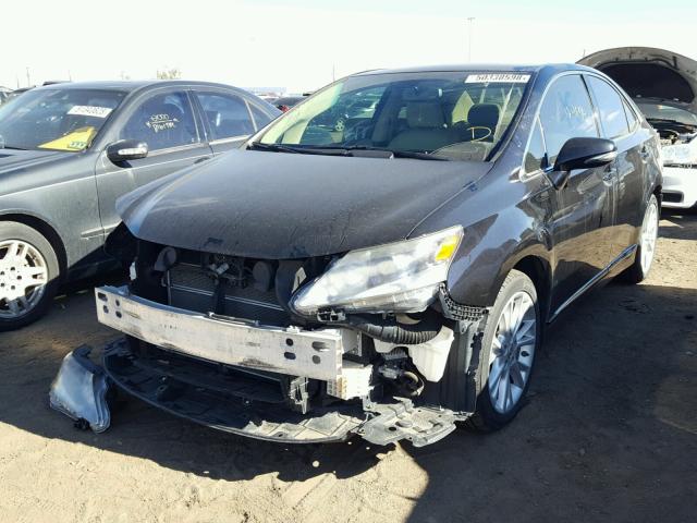 JTHBB1BA6A2015346 - 2010 LEXUS HS 250H BLUE photo 2