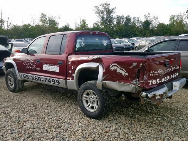 1B7HG48N52S646180 - 2002 DODGE DAKOTA QUA RED photo 9