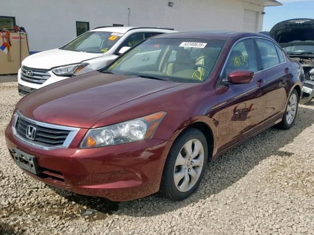 1HGCP2F82AA144681 - 2010 HONDA ACCORD EXL BURGUNDY photo 2