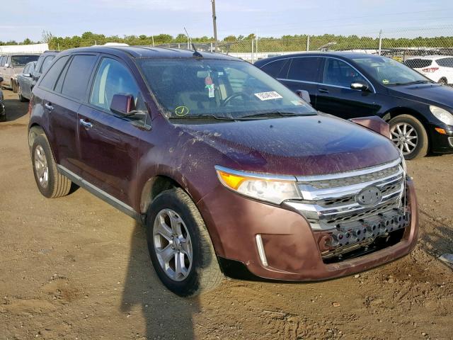 2FMDK4JCXBBA08681 - 2011 FORD EDGE SEL PURPLE photo 1