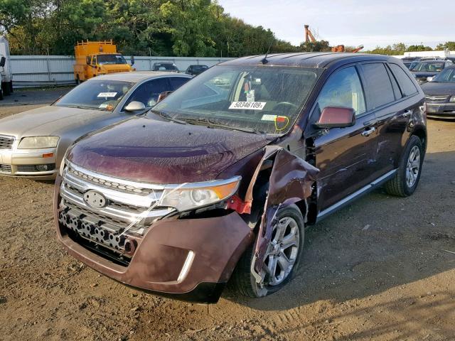 2FMDK4JCXBBA08681 - 2011 FORD EDGE SEL PURPLE photo 2