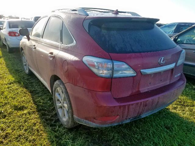 2T2ZK1BA3CC079084 - 2012 LEXUS RX 350 BURGUNDY photo 3