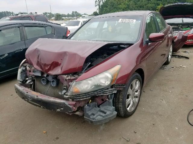 1HGCP26888A121111 - 2008 HONDA ACCORD EXL BURGUNDY photo 2