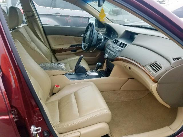 1HGCP26888A121111 - 2008 HONDA ACCORD EXL BURGUNDY photo 5