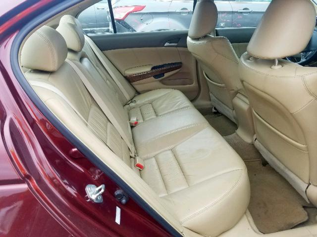 1HGCP26888A121111 - 2008 HONDA ACCORD EXL BURGUNDY photo 6