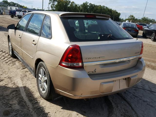1G1ZT62825F115555 - 2005 CHEVROLET MALIBU MAX 金色 照片 3