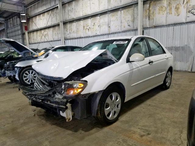 KNAFE221695655225 - 2009 KIA SPECTRA EX WHITE photo 2