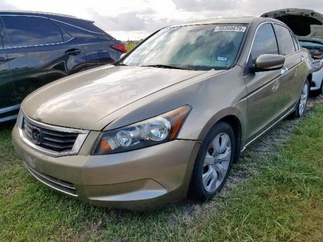 1HGCP3F81AA023162 - 2010 HONDA ACCORD EXL GOLD photo 2