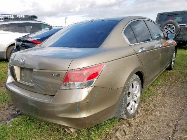 1HGCP3F81AA023162 - 2010 HONDA ACCORD EXL GOLD photo 4