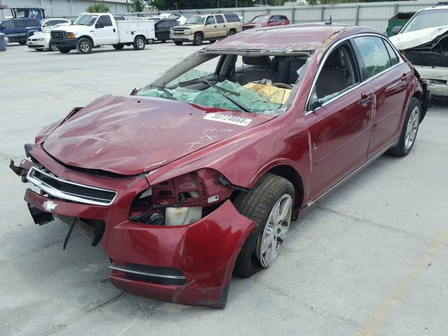 1G1ZC5E1XBF344148 - 2011 CHEVROLET MALIBU 1LT 红色 照片 2