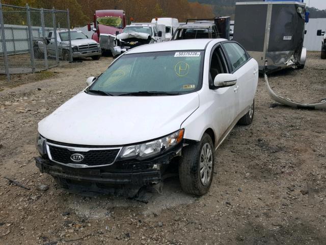 KNAFU4A24D5727539 - 2013 KIA FORTE EX WHITE photo 2