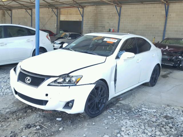 JTHBF5C26C5167387 - 2012 LEXUS IS 250 WHITE photo 2