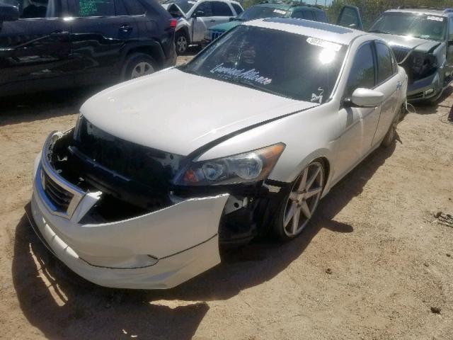 1HGCP3F88AA023983 - 2010 HONDA ACCORD EXL WHITE photo 2