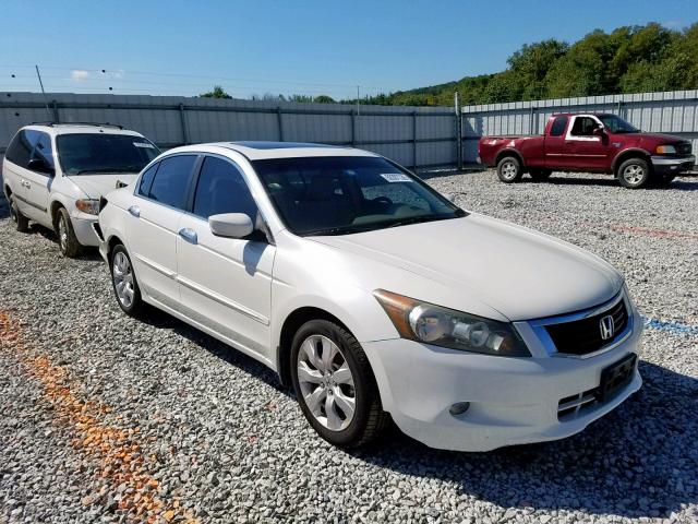 1HGCP36828A078178 - 2008 HONDA ACCORD EXL WHITE photo 1