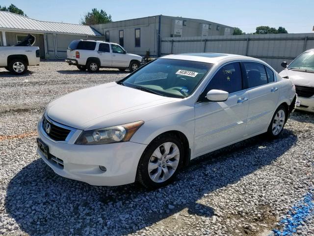 1HGCP36828A078178 - 2008 HONDA ACCORD EXL WHITE photo 2