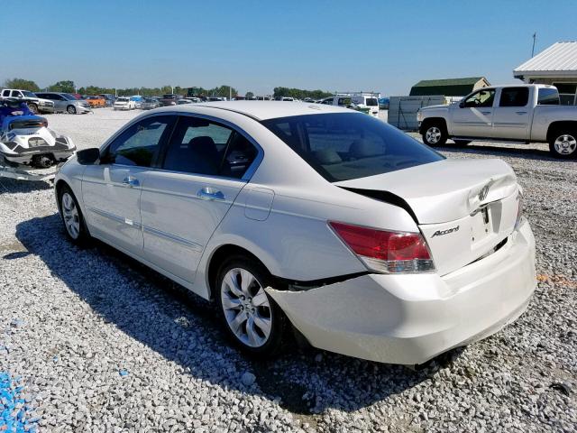 1HGCP36828A078178 - 2008 HONDA ACCORD EXL WHITE photo 3