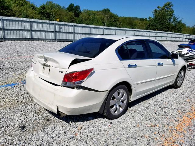 1HGCP36828A078178 - 2008 HONDA ACCORD EXL WHITE photo 4