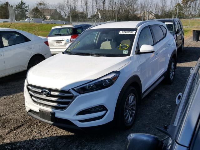 KM8J3CA45HU513615 - 2017 HYUNDAI TUCSON LIM WHITE photo 2