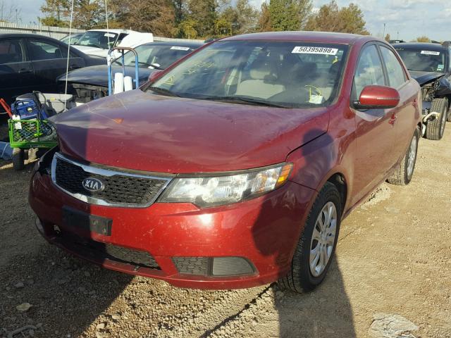 KNAFU4A28C5517511 - 2012 KIA FORTE EX RED photo 2